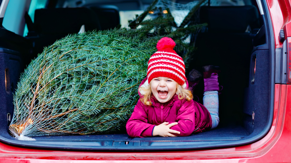 Smějící se holčička a vánoční stromek v autě